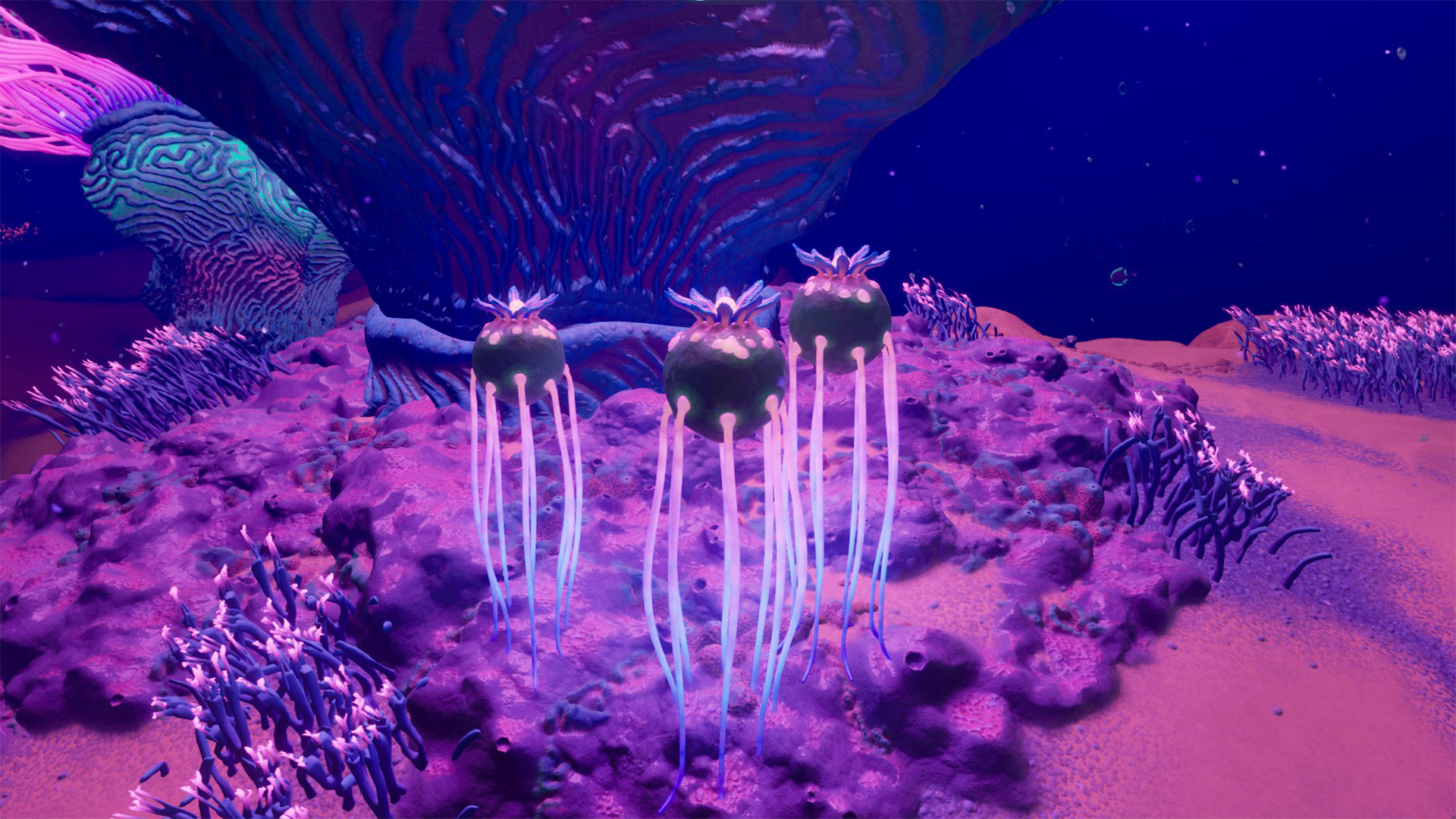 necrotic cyst subnautica 2